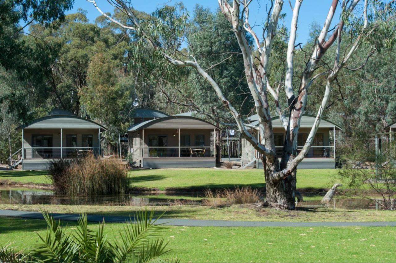 Tasman Holiday Parks - Moama On The Murray Zewnętrze zdjęcie